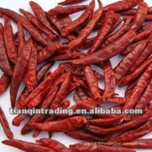 piment frais naturel à vendre